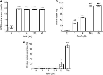 TanP: A Multifunctional Anionic Peptide From Tityus stigmurus Scorpion Venom